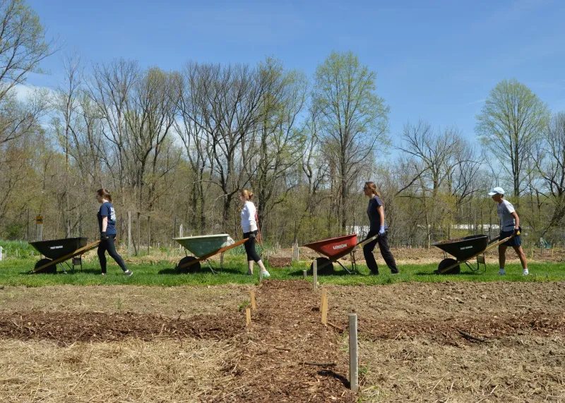 Roots and Resistance: How Urban Gardens Are Restoring Food Power, Community Wealth, and Land Rights in America's Disinvested Neighborhoods